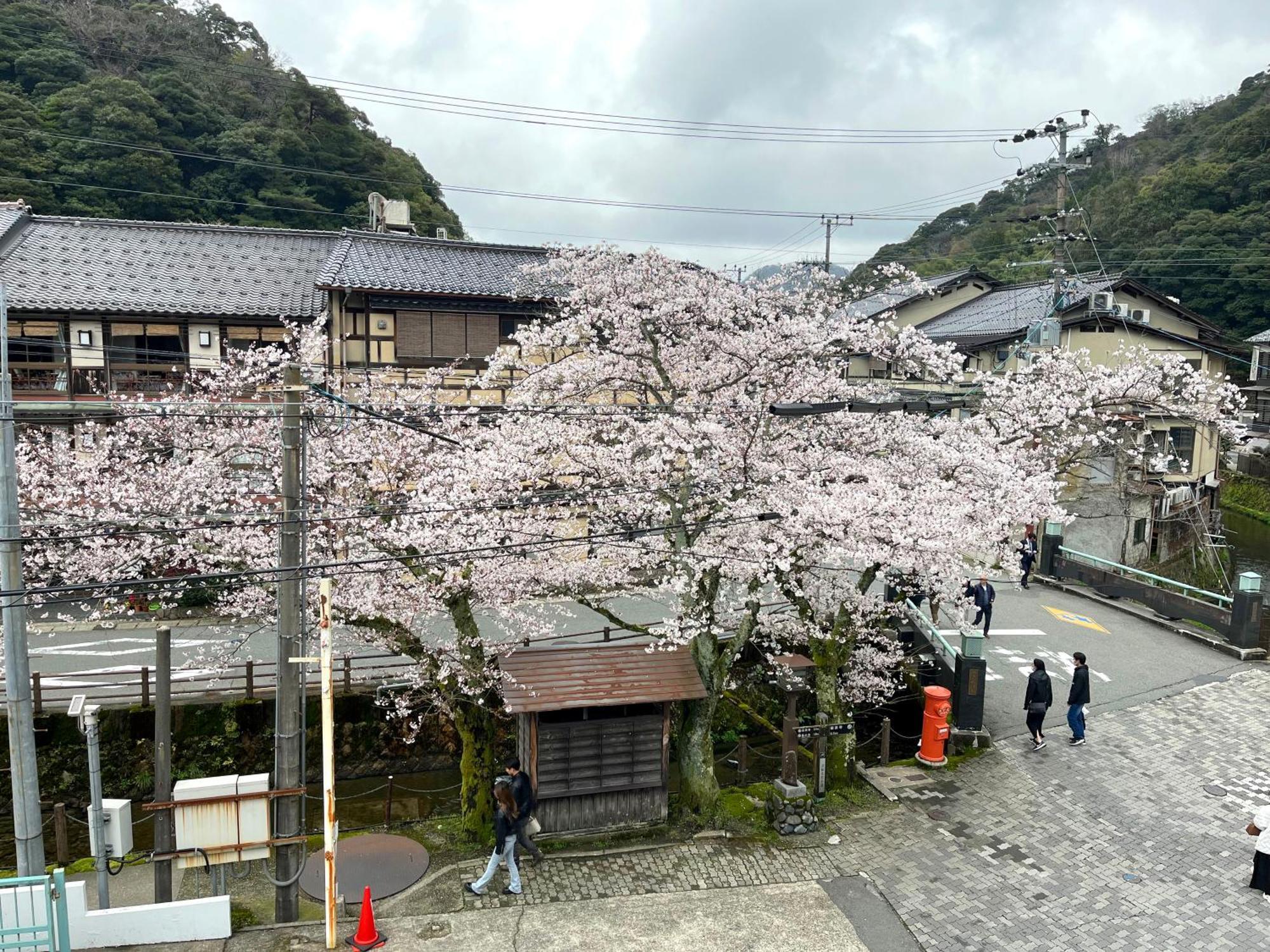 城崎温泉一棟貸し　旅宿yadokari 丰冈市 外观 照片