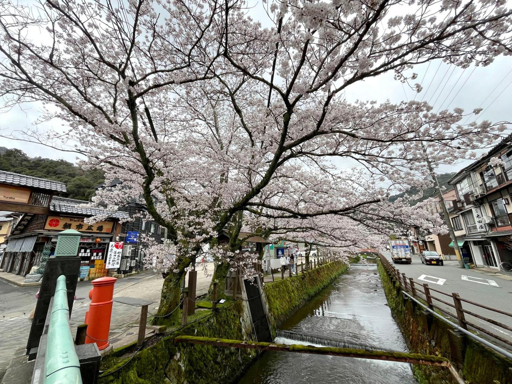 城崎温泉一棟貸し　旅宿yadokari 丰冈市 外观 照片